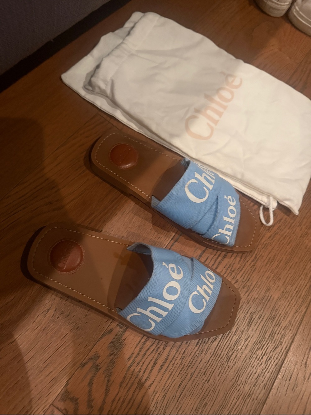 Chloé Blue Woody Logo Canvas Slide Sandals